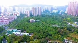 CPC understands needs of Chinese people: Ecuadorian expert