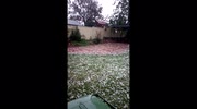 temp