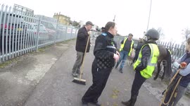 Horse escape in the center of town