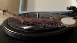 'Every Rose Has Its Thorn' vinyl played using rose thorns