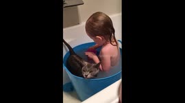 Burmese Cat Bath