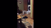temp