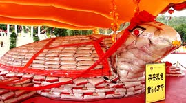 Nearly 70,000 grams of rice used to make giant turtle shape