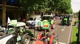 Convoy of tractors roll through Madrid as farmers demand government action