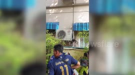 Stray cat rescued after being impaled by sharp iron gate spikes while chasing mouse