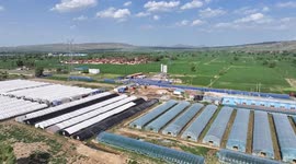 Edible Mushroom Growing Greenhouse Farmers produce In Zhangjiakou, China