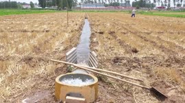 Drought affects billions of square metres of farmland in northern China