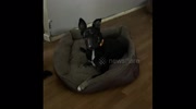temp