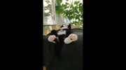 temp
