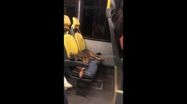 Tired Dog Takes The Bus