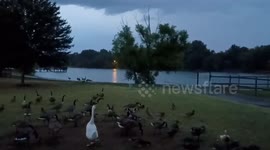 US: Crash Of Thunder Scares Waterfowls In Oklahoma