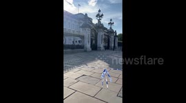 UK: Man Arrested After Handcuffing Himself To Buckingham Palace