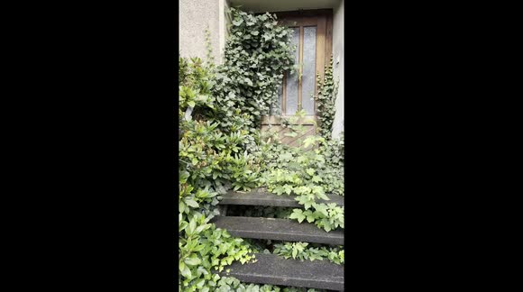 HUMAN ORGANS and blood vials have been found in an abandoned mortuary ...