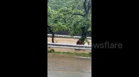 Japan: Heavy Rainfall Batters Northern Kyushu, Triggering Flash Flooding, Landslides 5