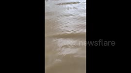 Japan: Heavy Rainfall Batters Northern Kyushu, Triggering Flash Flooding, Landslides 6