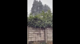 Rare Weather Phenomenon of heavy snowfall in Johannesburg, South Africa