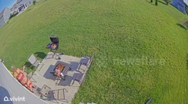 Skittish Dog Causes Chaos on Patio