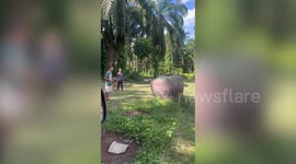 Large water jar shatters and spills water while being moved