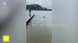 Dogs vs Sticks, Never Ending Entertainment