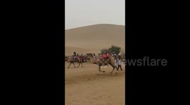 Scared tourist unseated as camel bolts back to flock at scenic area in China