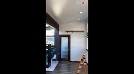 Redesigning the interior with indoor plants *Amazing Time lapse*