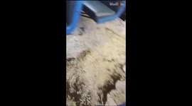 School bus gets flooded during the Calgary Thunderstorm *Unbelievable*