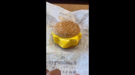 Burger King releases bizarre cheeseburger with only CHEESE and no meat (vertical version)