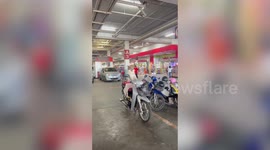 Pet dog sits on motorcycle parked outside shop