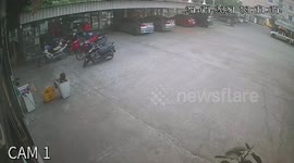 Monitor lizard jumps off roof and crawls around hot pot restaurant