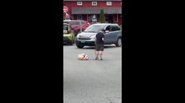 Golden Retriever Protests Leaving Brewery