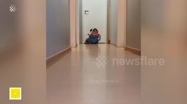 19 Of The BEST Pet Costumes