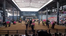 Adorable little elephant shows appreciation to tourists at Nonthaburi Garden, Pattaya, Thailand.