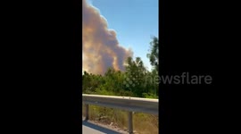 Turkey: Forest Fire Breaks Out In Milas District, Mugla 2