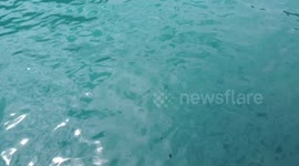 Beautiful lake and mountains drone footage