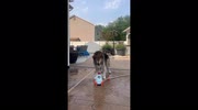 temp