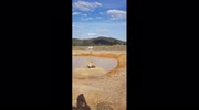 temp