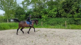 Der erste Springversuch