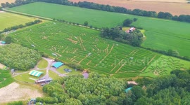 Tribute to Tutankhamun has been created out of maize