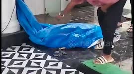 Snake Rescued from Shiv Sena Leader's House in Mumbai, India