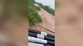 Rescue Teams Assist Stranded Puppy Amid Heavy Rainfall in Chandigarh, India