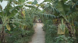 Stockshots: A farmer riding a bicycle in Hanoi, Vietnam