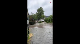 Glimpses of tree-mendous destruction caused by Storm Poly in the Netherlands