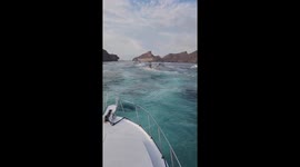 Boats Bump During Dorado Derby