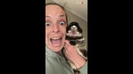 Drowsy bunny yawns cutely and owner imitates the reaction *Hilariously Wholesome*