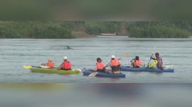 Cooperation with China crucial for protecting rare Mekong River dolphins: Cambodian official
