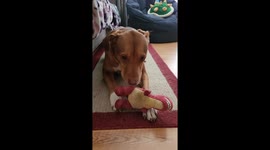 Benny Can't Believe The Disrespect