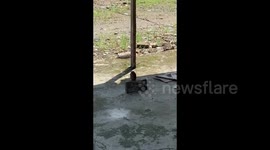 Residents of Padang City were shocked by the discovery of a grenade under a banana tree