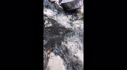 temp