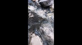 A maravilhosa sensação de som e natureza, na Serra da Arrábida