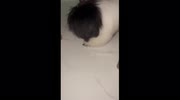 temp